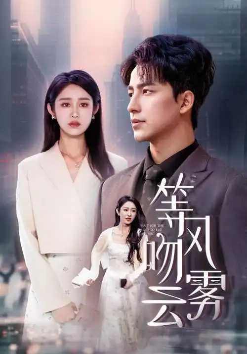 边境线热播电视剧全集